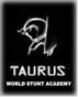 Taurus World Stunt Academy